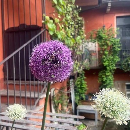 Come A Casa Castelletto sopra Ticino Εξωτερικό φωτογραφία