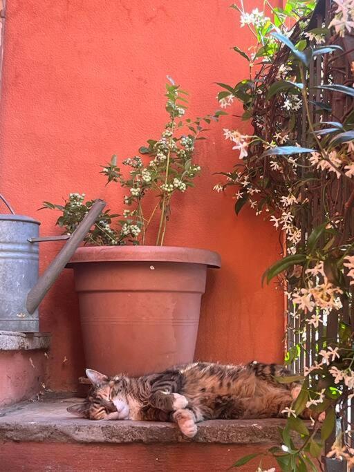 Come A Casa Castelletto sopra Ticino Εξωτερικό φωτογραφία